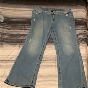 Lane Bryant jeans